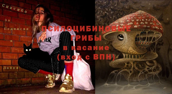 молекула духа Армянск