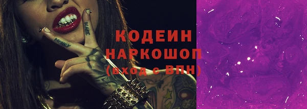 ешки Арсеньев