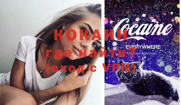 ешки Арсеньев