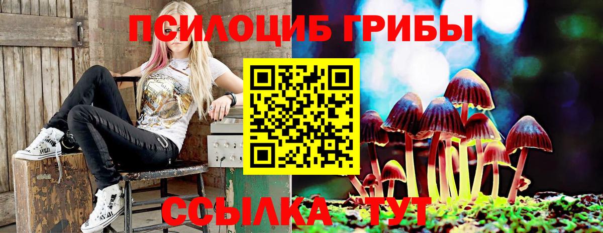 Пермь  Псилоцибиновые грибы Psilocybe  Вход с VPN  Псилоцибиновые грибы Psilocybine cubensis 